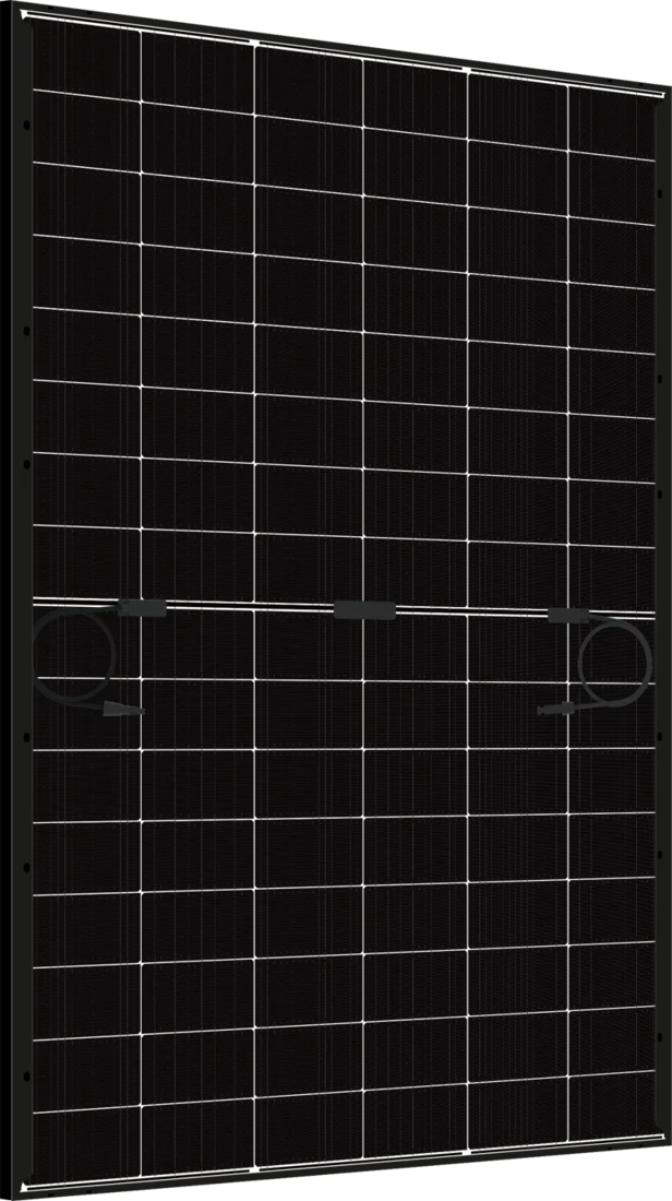 A Talesun BIPRO N-type bifacial solar panel, its semi-transparent dual-glass back revealing the cell gaps, junction box and cabling